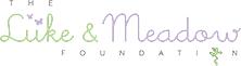 Amy and Brian France Team Up With Buoniconti Fund To Help Find a Cure For Paralysis